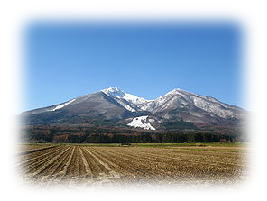 お客様との歓談風景